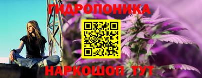 стаф Краснокаменск