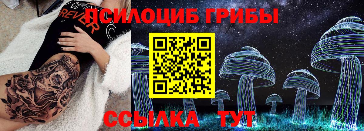 Галлюциногенные грибы мицелий  сколько стоит  Каменка  Вход с VPN  Псилоцибиновые грибы MAGIC MUSHROOMS 