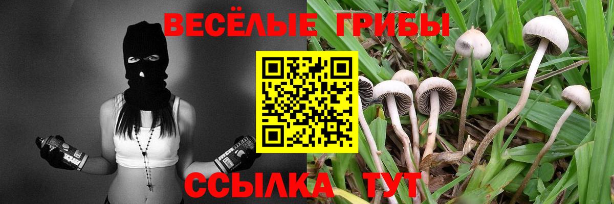 Псилоцибиновые грибы GOLDEN TEACHER Каменка